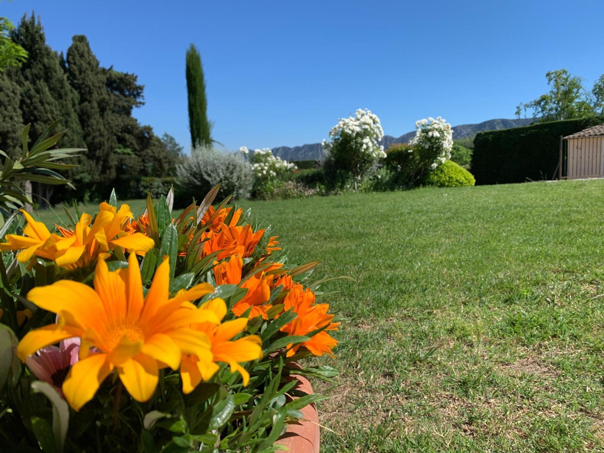 En Provence, Chez Stephanie Et Marcel Lägenhet Saint-Rémy-de-Provence Exteriör bild