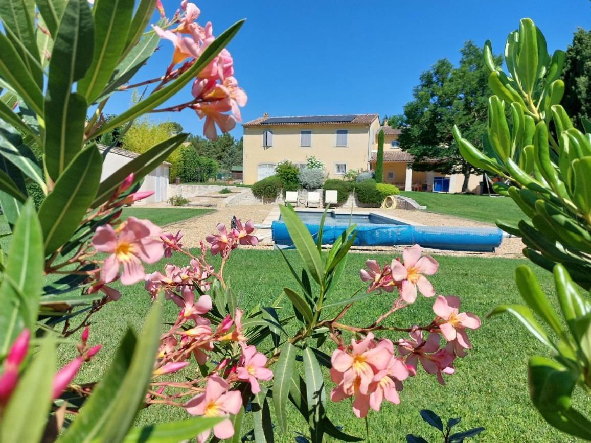 En Provence, Chez Stephanie Et Marcel Lägenhet Saint-Rémy-de-Provence Exteriör bild