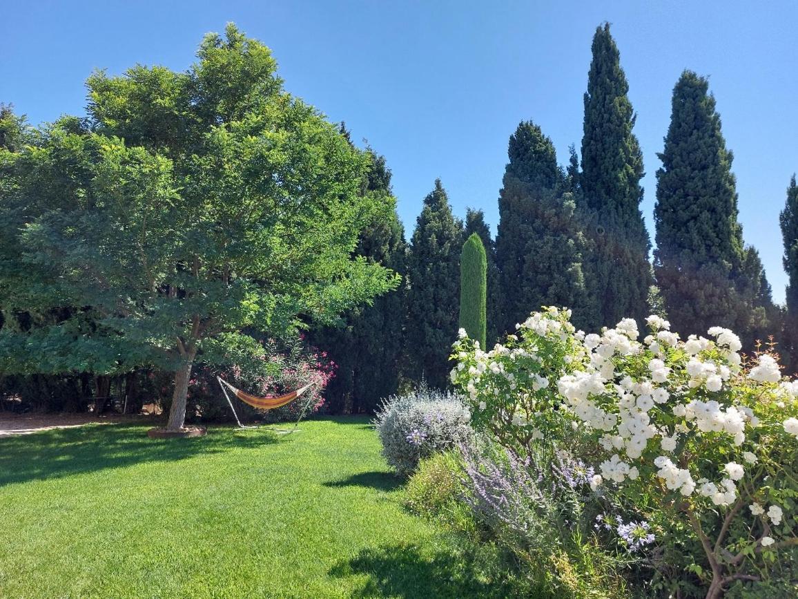 En Provence, Chez Stephanie Et Marcel Lägenhet Saint-Rémy-de-Provence Exteriör bild